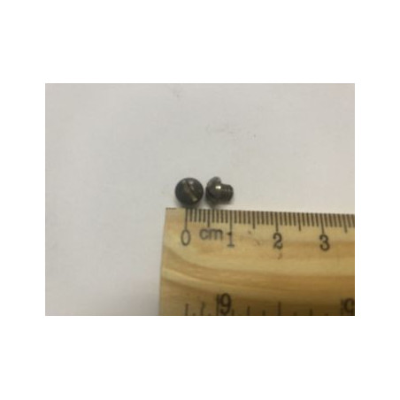 TORNILLOS FIJACIÓN GUARDAPOLVO SUPERIOR CORTO BRIO
