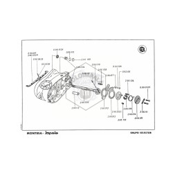 GRUPO SELECTOR TURISMO