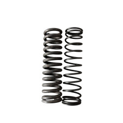 MUELLES SUSPENSION TRASERA BRIO TODAS