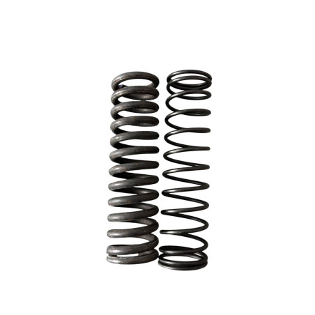 MUELLES SUSPENSION TRASERA BRIO TODAS