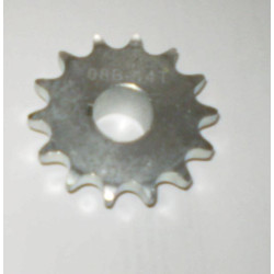 PIÑON