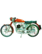 SPORT 250