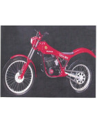 COTA 304